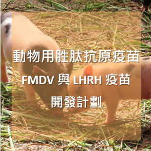 動物用胜肽抗原疫苗.png