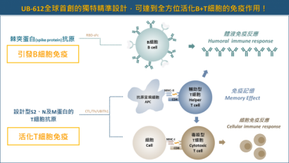 全方位免疫反應