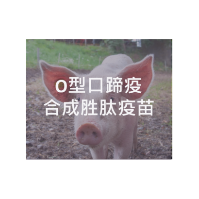 口蹄疫.png